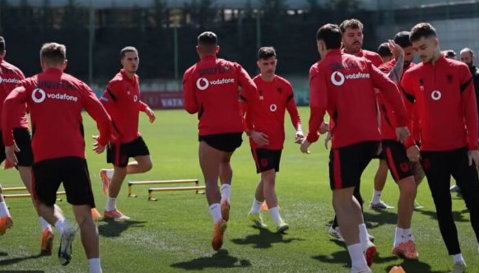 -800-0-04e796b68264ee90f0d4f32b9e602142