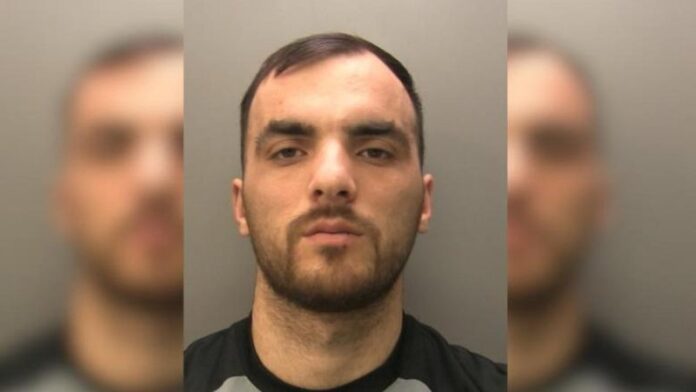 -800-0-1774181823x1774180551-argjentdedja-441