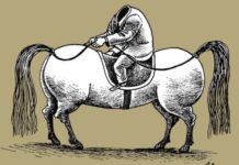 Kali i Saliut, tagjia e Edit