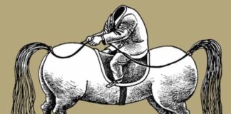 Kali i Saliut, tagjia e Edit