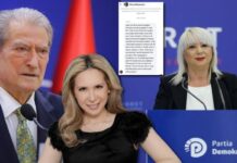 Evi Kokalari: Këta të PD janë kllouna, jam pa fjalë