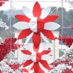 Dita e Verës në Tiranë, ja se si do të devijohet trafiku për 2 ditë