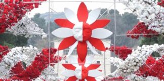 Dita e Verës në Tiranë, ja se si do të devijohet trafiku për 2 ditë