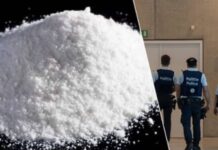 Arratisen drejt Shqipërisë, shpallen në kërkim tre shqiptarët e akuzuar për trafik droge në Belgjikë, humbin garancinë mijëra euroshe