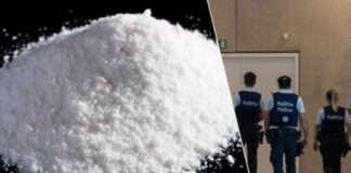 Arratisen drejt Shqipërisë, shpallen në kërkim tre shqiptarët e akuzuar për trafik droge në Belgjikë, humbin garancinë mijëra euroshe