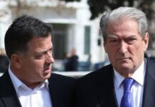 E përjashtuan nga PD e Elbasanit, reagon Alesia Balliu: Berisha ka frikë nga gara për PD-në!