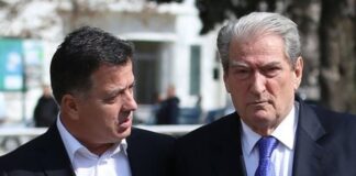 E përjashtuan nga PD e Elbasanit, reagon Alesia Balliu: Berisha ka frikë nga gara për PD-në!