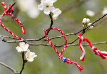 Sot 14 Mars, Dita e Verës! Festa tradicionale shqiptare mes tryezave me Ballokume dhe vizitorëve në Elbasan