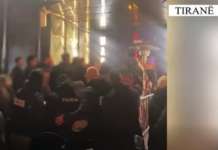 Shpërndanin drogë, 11 punonjës dhe administratorë klubesh nate në pranga