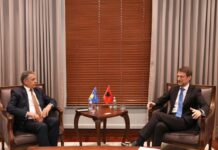 Ministri Hoxha pret Ambasadorin Durmishi: Kosova, përparësi e padiskutueshme e politikës së jashtme të Shqipërisë