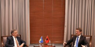 Ministri Hoxha pret Ambasadorin Durmishi: Kosova, përparësi e padiskutueshme e politikës së jashtme të Shqipërisë