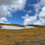 Si do të jetë moti sot!