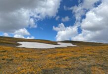 Si do të jetë moti sot!