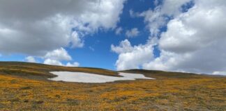 Si do të jetë moti sot!