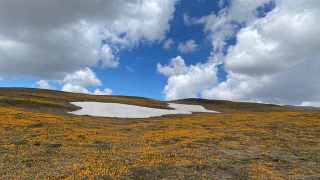 Si do të jetë moti sot 