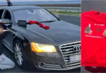 Publikuan video me ngjyrat kuqezi, katër shqiptarë arrestohen në Serbi: Përdorën simbole të Shqipërisë së Madhe