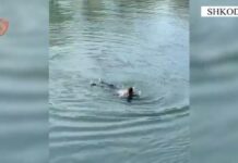 U hodh në lumin Buna për t’u vetëmbytur, policia shpëton 56-vjeçaren në Shkodër