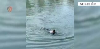U hodh në lumin Buna për t’u vetëmbytur, policia shpëton 56-vjeçaren në Shkodër
