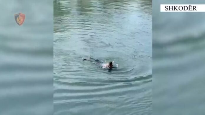 a9c11e15-c279-4121-803e-089d3161bcbb-750x421