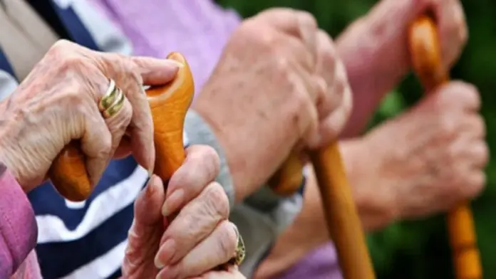 auto_pensionit1685967971_sd