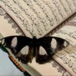 Rama shpërndan foton dhe uron Fitër Bajramin