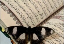 Rama shpërndan foton dhe uron Fitër Bajramin