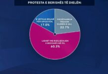 Protesta e opozitës/ Sondazhi, 60 për qind: ‘Aksioni’ me molotovë, për rizgjedhjen e kryetarit të PD