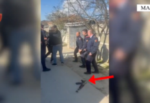 Plas KALLASHI në Maliq, 40-vjeçari terrorizon banorët