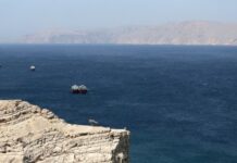 Irani hap Ngushticën e Hormuzit, vetëm për këto anije