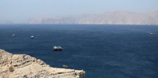 Irani hap Ngushticën e Hormuzit, vetëm për këto anije