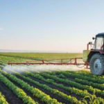 Miratohet Skema Kombëtare e Bujqësisë 2026| Rriten subvencionet bagëtitë dhe të mbjellat