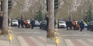 Aksident me vdekje në Tiranë, autoboti me ujë përplas një grua