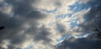 Parashikimi i motit për sot, 19 mars 2026