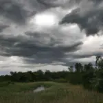 Parashikimi i motit për sot