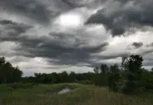 Parashikimi i motit për sot