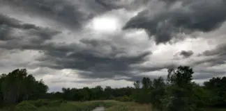 Parashikimi i motit për sot