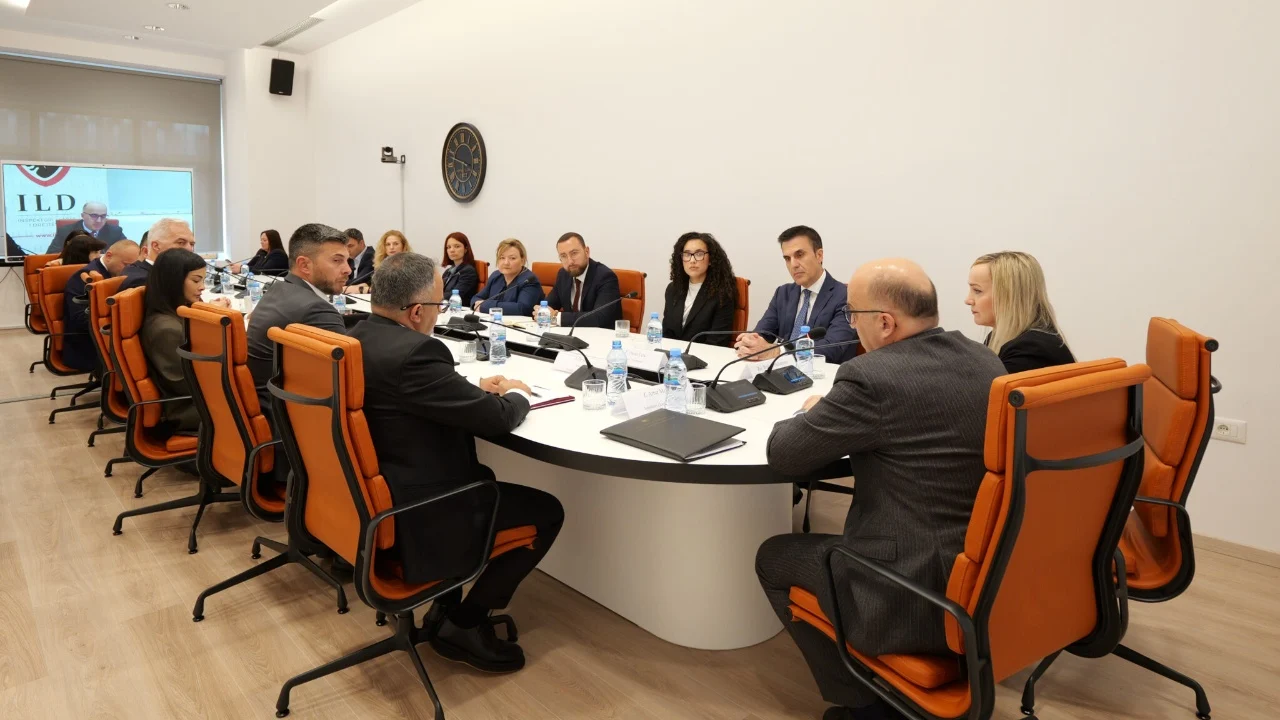 Reforma në Drejtësi, institucionet në drejtësi bashkëbisedim me juristë nga diaspora