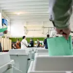 Del sondazhi i fundit i BBC për zgjedhjet në Hungari, ja cili del fitues mes Orban dhe Magyar