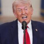 Kur budallenjtë shkojnë në luftë