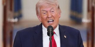 Kur budallenjtë shkojnë në luftë