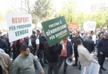 ‘Na subvenciononi naftën si jahtet’, fermerët 4 orë në protestë te Ministria e Bujqësisë! Salla e Malaj: Skema rishikohet në shtator