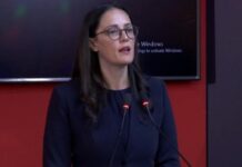 Samiti i Diasporës, Ministrja Ibrahimaj: Diaspora partner kyç për zhvillimin ekonomik dhe inovacionin