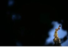 Heqja e gjyqeve me juri do të na kushtojë të gjithëve