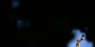 Heqja e gjyqeve me juri do të na kushtojë të gjithëve