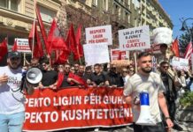 Nje reagim si ish-ambasador ne RMV: Protesta për gjuhën të mbështetet nga të gjithë faktorët politik