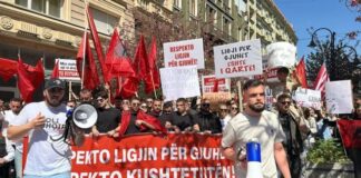 Nje reagim si ish-ambasador ne RMV: Protesta për gjuhën të mbështetet nga të gjithë faktorët politik