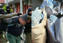 Video/ EUROPOL godet “Kartelin Ballkanik” të kokainës: Trasportonin drogë nga Shqipëria drejt vendeve të BE-së!