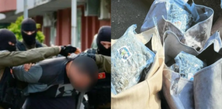 Video/ EUROPOL godet “Kartelin Ballkanik” të kokainës: Trasportonin drogë nga Shqipëria drejt vendeve të BE-së!