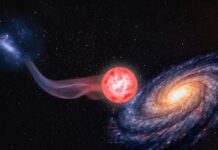 Zbulimi/ Ylli më i pastër i Universit është çuditërisht shumë pranë Tokës