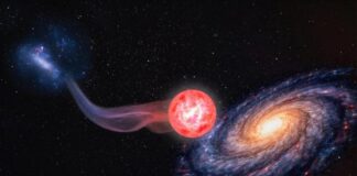 Zbulimi/ Ylli më i pastër i Universit është çuditërisht shumë pranë Tokës